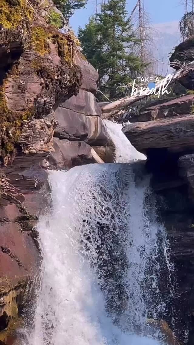 ✨Sometimes the most productive thing you can do is relax.✨

✨It may seem counterintuitive, but this statement is so very true. We have been conditioned to work hard, play hard, keep going, don’t stop, take on more, say yes, and do all the things. That works for awhile.....until it doesn’t.​​​​​​​​
​​​​​​​​
✨When we don’t take time to rest and relax EVERY day, we end up being overscheduled, taking on more than we should and not really doing any of it very well. We start to feel overwhelmed and feel like we can’t ever get caught up. We end up being constantly busy, but not very productive.​​​​​​​​
​​​​​​​​
✨The truth is that our mind, body and spirit all need time to relax, recover and reset in order to function optimally. When you allow yourself time to relax and rest, you will find that you have more energy, clearer thinking, positive mood, balanced hormones, resilient immunity and increased productivity.​​​​​​​​
​​​​​​​​
✨How do I know? Because it’s a skill that I have had to learn the hard way. As a recovering Type A / Perfectionist, the idea of slowing down and prioritizing my rest never seemed like a good idea until.....I wasn’t able to maintain my weight, my hormones were out of whack, I had chronic neck and low back pain, developed migraines and everything made me want to cry.​​​​​​​​
​​​​​​​​
✨It was then that I began to understand that managing stress and prioritizing rest, recovery, relaxation and recreation are vitally important, not only to your productivity, but to your health overall. Taking time to relax is not a luxury. It’s a necessity. Your life and health depend on it.​​​​​​​​
​​​​​​​​
“Sometimes the most productive (and healthy) thing you can do is relax.”​​​​​​​​
​​​​​​​​
​​​​​​​​
​​​​​​​​
#relax #rest #recover #repair #health #healthylifestyle #hormones #hormonebalance #perimenopause #menopause #longevirty #functionalhealthcoach #fdnp #hormonehealth #guthealth #adrenalhealth #stressmanagement